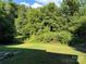 Backyard featuring greenery, grass, and sunlight at 702 N 9Th St, Bessemer City, NC 28016