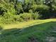 Grassy backyard with shade and shrubbery at 702 N 9Th St, Bessemer City, NC 28016