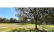 Serene view of expansive lush green front yard, embraced by mature trees under a clear sky at 9609 Stokes Ferry Rd, Gold Hill, NC 28071