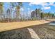Private backyard featuring a natural wooded area at 5308 Verona Rd # 75, Charlotte, NC 28213