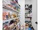 Well-organized pantry with wire racks filled with food items and small appliances at 7245 Static Way, Sherrills Ford, NC 28673