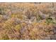 High-angle view of a house in a wooded, fall-colored landscape at 850 Mereva Rd, Smyrna, SC 29743