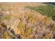 Overhead view of land with autumn foliage and a distant home at 850 Mereva Rd, Smyrna, SC 29743