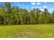 A lush green grassy field backed by trees, providing a beautiful and serene landscape at 127 Tradition Ln, Mooresville, NC 28115