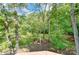 Large backyard with lush green grass and mature trees at 5601 Indian Brook Dr, Matthews, NC 28104