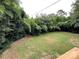 Large grassy backyard bordered by dense bamboo providing privacy at 647 Reeves Ct, Charlotte, NC 28208