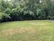 Spacious backyard with lush grass and tall bamboo trees providing natural privacy at 647 Reeves Ct, Charlotte, NC 28208