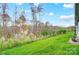 Landscaped backyard with a grassy area and trees at 2866 15Th Avenue Se Pl, Hickory, NC 28602