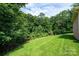 Lush backyard bordered by mature trees, offering a private and serene outdoor retreat at 370 21St Nw Ave, Hickory, NC 28601