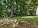Wooded backyard with lush green grass at 4301 Fairview Oaks Dr, Charlotte, NC 28211