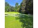 Spacious yard with a white wooden fence, lush green grass, and mature trees at 12608 Rocky River Church Rd, Charlotte, NC 28215