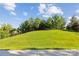 Backyard featuring a lush grassy area, a fence, and mature trees at 16004 Deer River Rd, Charlotte, NC 28278
