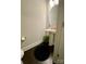 Small powder room with pedestal sink and round mirror at 546 Amalfi Dr, Davidson, NC 28036