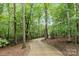 Curving driveway through a wooded landscape at 4364 Hager Mountain Ln, Iron Station, NC 28080