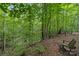 Serene wooded area with a creek and wooden bench at 4364 Hager Mountain Ln, Iron Station, NC 28080