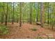 Wooded backyard with a small trailer at 7025 Willow Trace Ln, Weddington, NC 28104