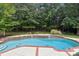 Inviting kidney-shaped pool surrounded by lush landscaping at 7025 Willow Trace Ln, Weddington, NC 28104