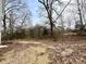 Wooded backyard with potential for outdoor activities at 127 Sharon Rd, York, SC 29745