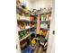 Well-organized pantry with ample shelving for storage at 3524 Tully Ave, Kannapolis, NC 28081