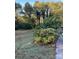 Grassy yard with lots of green trees and bushes at 3021 Davis Park Rd, Gastonia, NC 28052