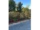 Yard with decorative bushes and red flowers along walkway at 3021 Davis Park Rd, Gastonia, NC 28052