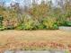 Expansive backyard featuring a lush lawn and mature trees along the perimeter at 2715 Ballade Dr, Matthews, NC 28105