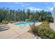 A swimming pool features lounge chairs and lush landscaping surrounded by mature trees and a blue sky at 16115 Lakeside Loop Ln, Cornelius, NC 28031