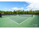 Outdoor community pickleball court with green surface, netting, and a black fence, surrounded by lush trees at 3015 Duclair Ln, Fort Mill, SC 29707