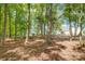 Private wooded lot with mature trees and partial view of house at 2610 Henry Baucom Rd, Monroe, NC 28110