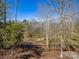 A lovely view of the backyard and surrounding woods at 2257 Tatton Hall Rd, Fort Mill, SC 29715