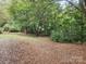 Yard featuring mature trees at 113 Fairview St, Clover, SC 29710