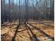 Raw land lot amid a wooded setting showing mature trees and ample natural light at 1025 Baylor Grv, Monroe, NC 28112