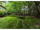 Serene backyard with a trampoline surrounded by mature trees and lush greenery at 4231 Fox Brook Ln, Charlotte, NC 28211