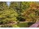 Landscaped backyard with lush greenery and a wooden fence at 9826 Edinburgh Ln # 282, Charlotte, NC 28269