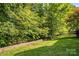 Spacious backyard with a wooden fence and mature trees providing shade at 9826 Edinburgh Ln # 282, Charlotte, NC 28269