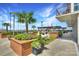 Beautiful outdoor lounge with mature landscaping, seating and lighting at 215 N Pine St # 3705, Charlotte, NC 28202