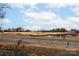 Golf course community with pond and charming bridge at 11770 Redbridge Blvd, Locust, NC 28097