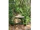 Backyard with a bird bath surrounded by lush foliage at 331 Sunderland Rd, Belmont, NC 28012