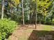 Spacious backyard with mature trees and vegetation at 331 Sunderland Rd, Belmont, NC 28012