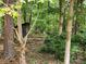 Backyard shed surrounded by trees at 331 Sunderland Rd, Belmont, NC 28012