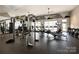 Well-equipped fitness center with various machines at 494 Bowline Dr, Denver, NC 28037