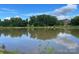 Peaceful lake view surrounded by lush greenery and reflected cloudy skies at 8605 Carly Ln, Mint Hill, NC 28227