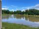 A tranquil pond with a fountain, surrounded by lush greenery, offers a peaceful view at 9411 Stonebridge Way # 49, Mint Hill, NC 28227