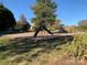 Community playground featuring slides, swings, and other play equipment on a wood chip surface at 4016 Holly Villa Cir, Indian Trail, NC 28079