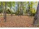 Wooded backyard with leaf covered ground at 6920 Wyndbend Ln, Mint Hill, NC 28227