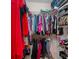 Large walk-in closet with ample shelving and hanging space at 115 Hawk Run Ln, Troutman, NC 28166