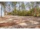 Large backyard surrounded by a wooded area at 1025 Readsboro Dr # 11, Mt Ulla, NC 28125