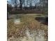 Leaf-covered backyard featuring a new wooden privacy fence at 1314 Milan Rd, Charlotte, NC 28216