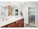 Bathroom with double vanity and walk-in closet at 7206 Sandown Ct, Harrisburg, NC 28075