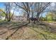 Wooded backyard view of the home showcasing a large green area and mature trees at 919 N Weldon St, Gastonia, NC 28052